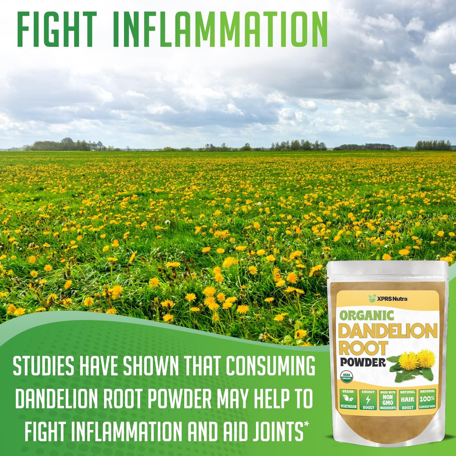 XPRS Nutra XPRS Nutra Organic Dandelion Root Powder - Vegan Friendly Antioxidant Power for Liver Support - Dandelion Root for Tea and Beverages - Immune Boosting Dandelion Powder (16 Ounce)