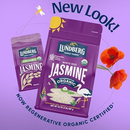 Lundberg Lundberg Family Farms Organic Jasmine Rice, California White, 32 Ounce (Pack of 3)