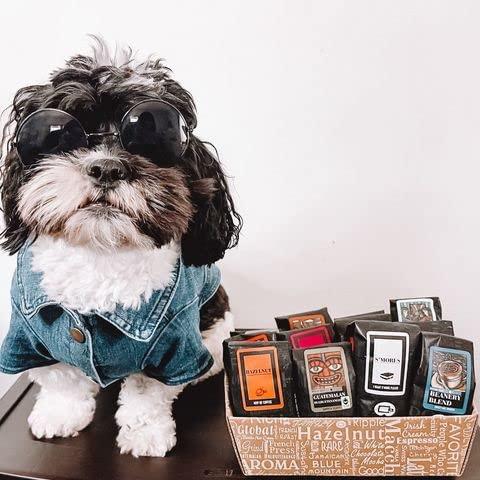 Coffee Beanery Indulgent Coffee Selection Gift Box | 100% Specialty Arabica Coffee | 12 Sample Bags of Medium Roast Ground Coffee