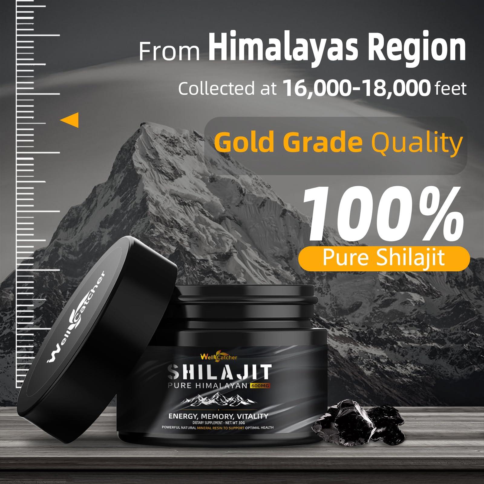 Wellcatcher Wellcatcher Pure Himalayan Shilajit Resin for Men Women: Natural Organic Shilajit Supplement 600MG Rich in 85+ Trace Minerals 75%+ Fulvic Acid for Energy Immunity Focus Support 50 Servings