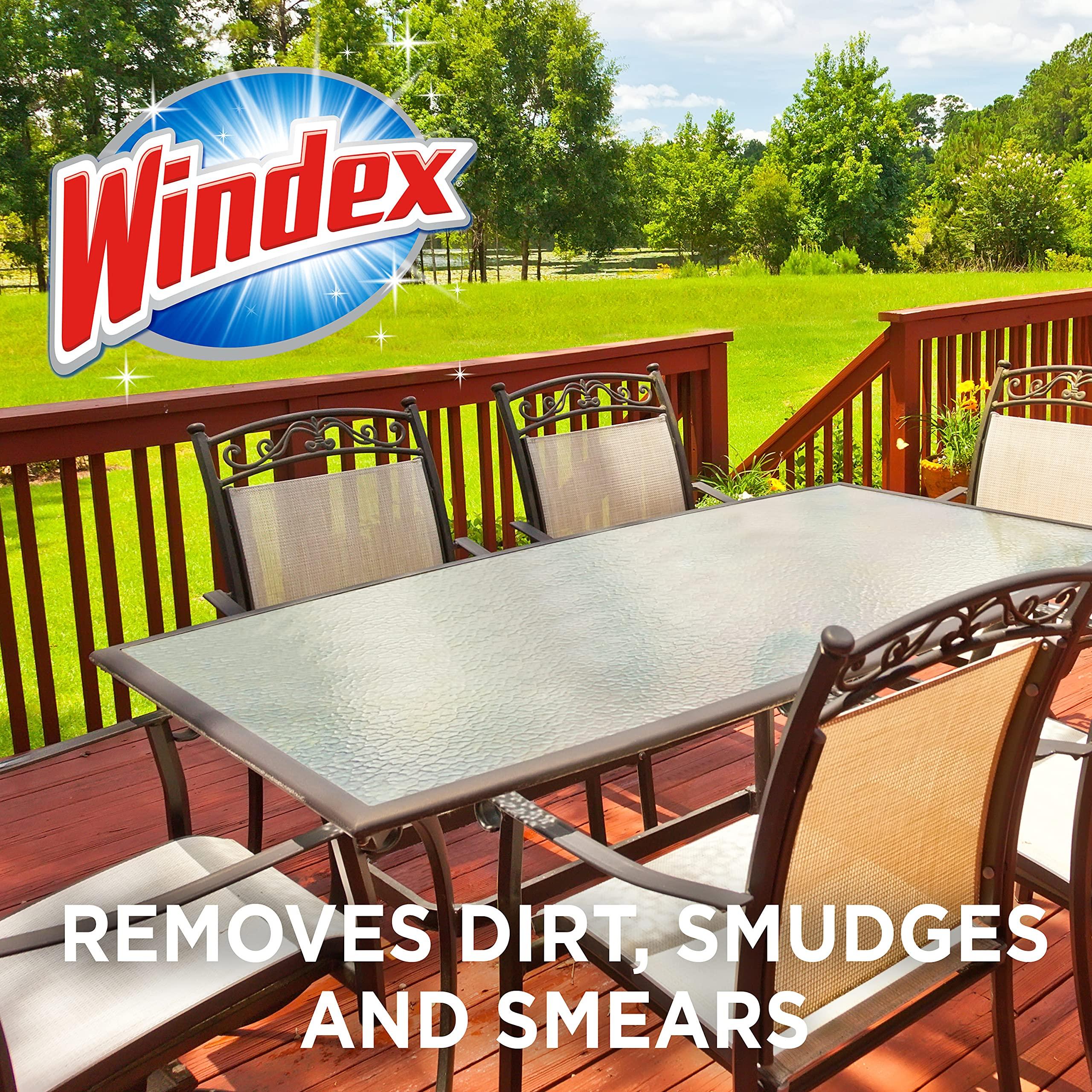 Windex Windex Outdoor Window and Glass Cleaner for Hose Ammonia Free, Concentrated Formula for Deep Outdoor Clean, Patio Cleaner, Compatible With All Hoses, 32 Fl Oz (Pack of 2)