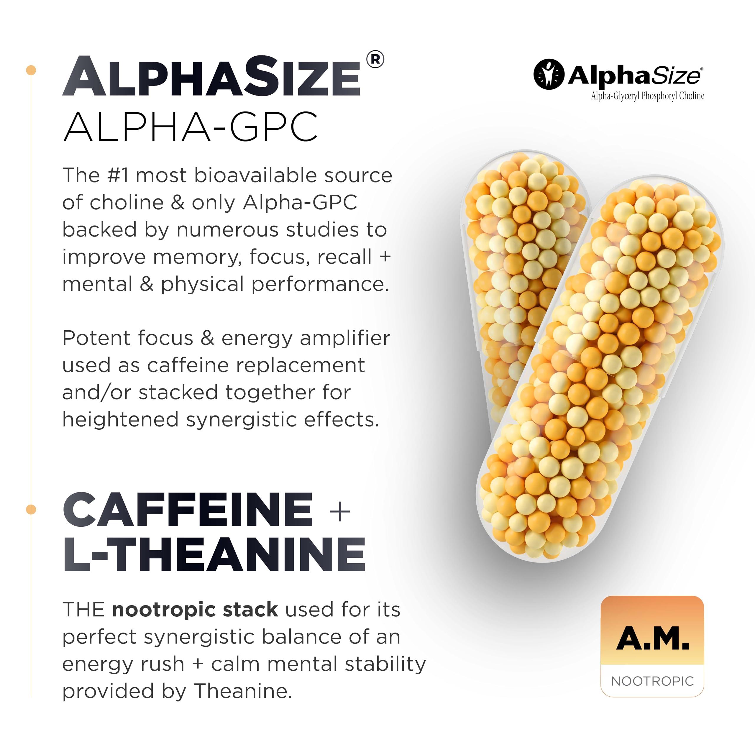 TERRA ELMNT AMPM Nootropic Total Focus + Calm 9X Strength w. Caffeine, L-Theanine, Alpha GPC, L-Tyrosine, Ashwagandha - X-Release Energy Pills Nootropics Brain Support Supplements for Memory and Focus Supplement