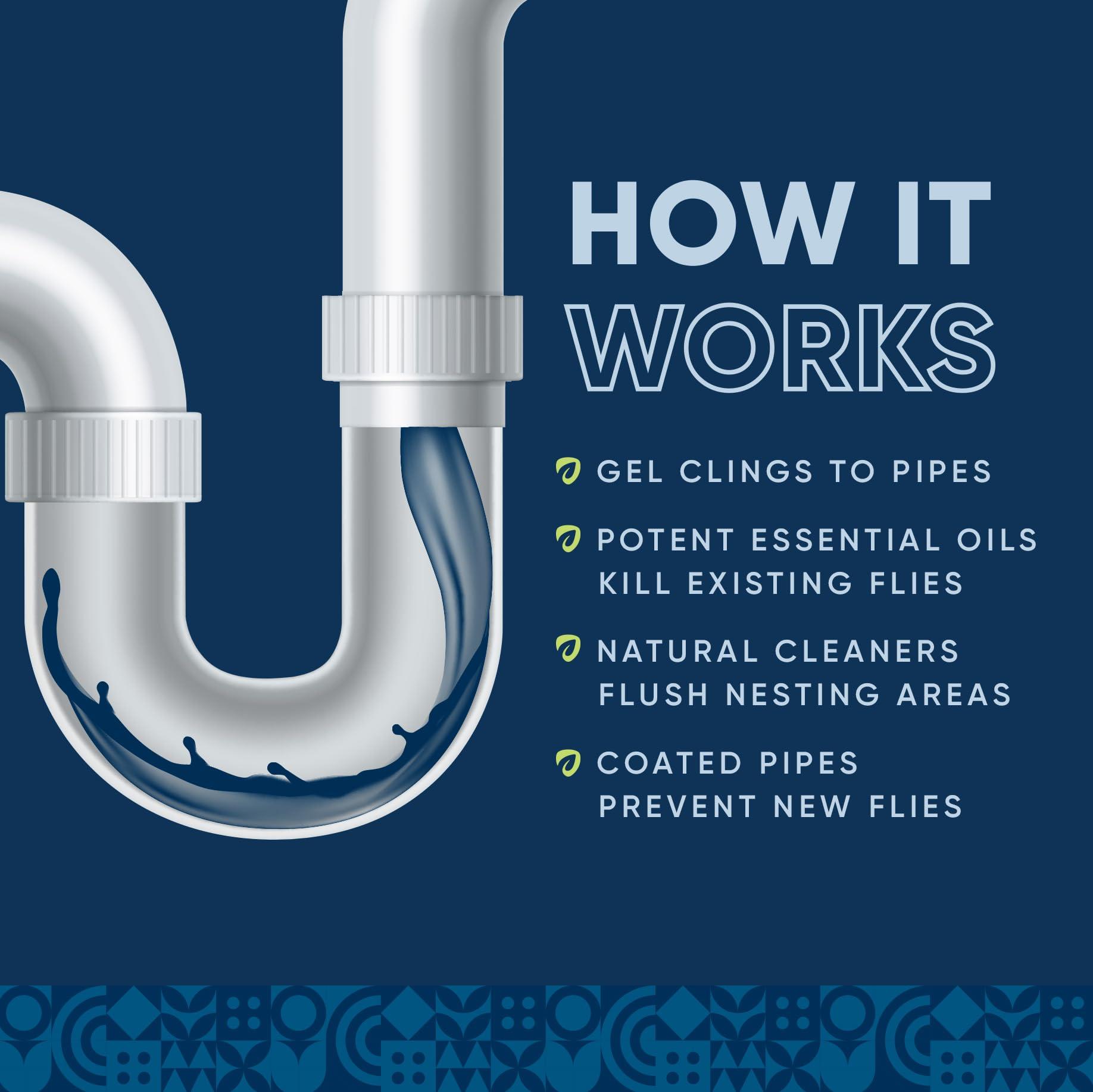 Eco Strong Fruit Fly Drain Treatment | Drain Fly Eliminator | All-Natural, Eliminates Gnats, Sewer Flies and More - Works in All Drains - 1 Gallon