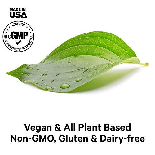 Amen Amen Vitamin C+ Supplement with Zinc, Bioflavonoids, Quercetin, Rose Hips, Elderberry – Vegan, Non-GMO – 2 Months Supply - 120 Capsules