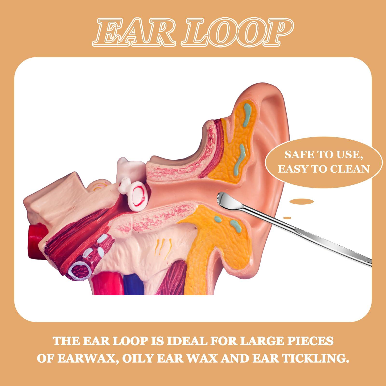 Trinkrittey 10 Pcs Metal Ear Cleaner Stainless Steel Ear Pick Portable Metal Earwax Curette Ear Cleaner Tool for Adult