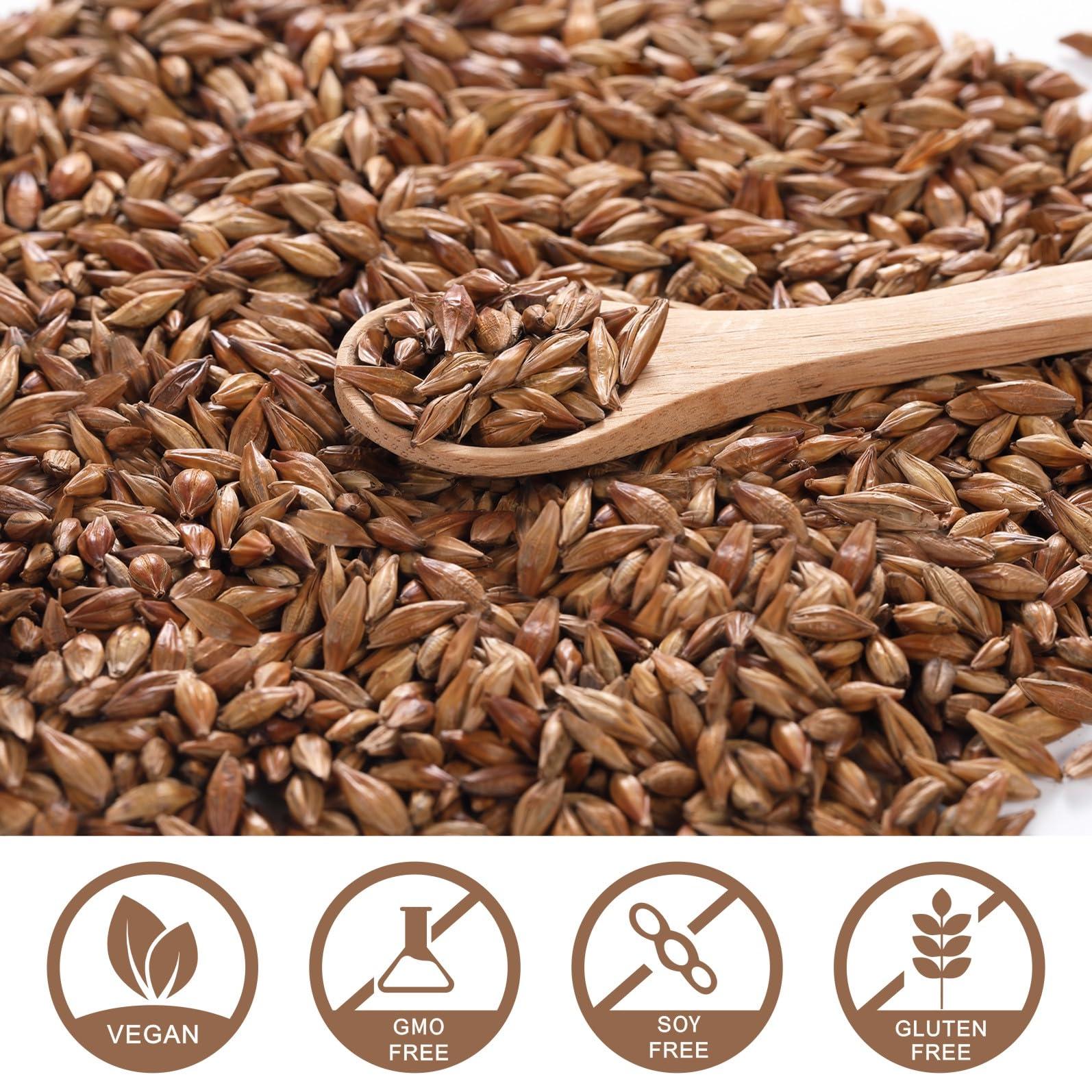 Damman DAMMANN FRERES - Herbal tea - Smokey Lapsang - 24 wrapped crystal envelopped tea bags