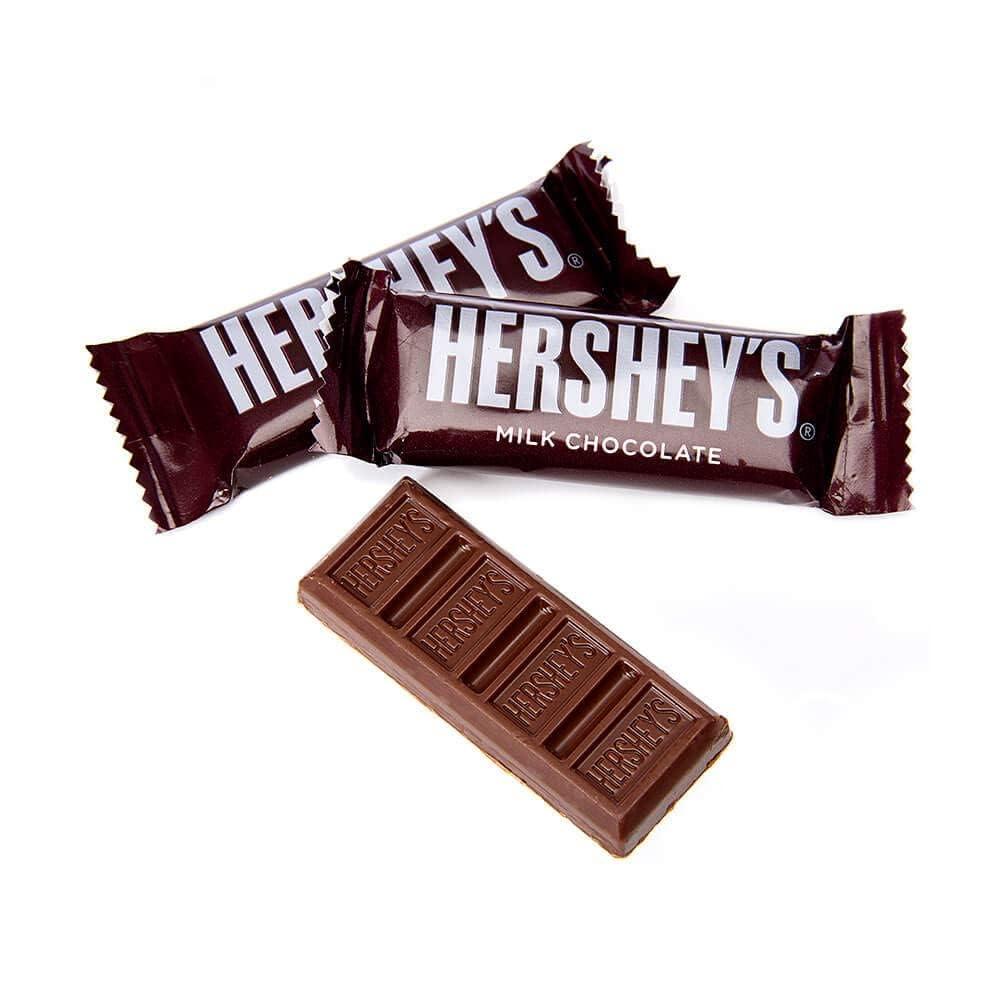 Sweet Savora HERSHEYS Milk Chocolate Snack Size Candy Bars in Bulk (3 Pound)