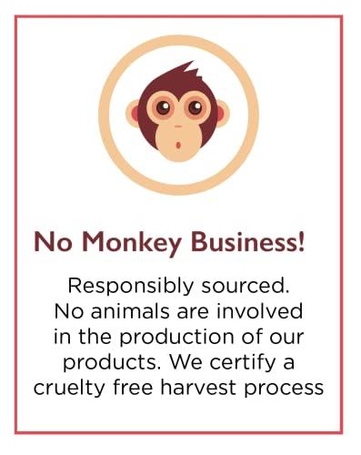 HVA Ceylon Organic Coconut Milk Bulk - 5.28 Gallon (44lb) No Guar Gum, No Preservatives, Gluten Free, Vegan and Kosher 18% Coconut Milk Fat, Unsweetened Bag in Box Shelf Stable