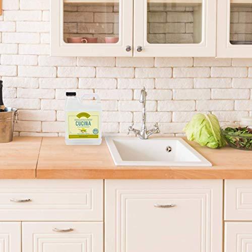 Fruits & Passion Fruits & Passion Cucina Dish Detergent Refill Sea Salt and Amalfi Lemon, 33.8 oz