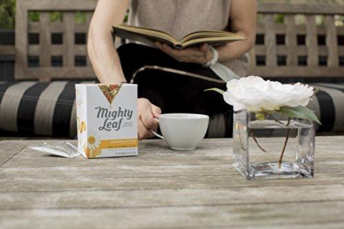 Mighty Leaf Mighty Leaf Whole Leaf Tea, Chamomile Citrus, 45 Tea Bags (Pack of 3, 15CT each) Individual Pyramid-Style Tea Sachets of Uncaffeinated Herbal Tisane with Chamomile and Orange Peel