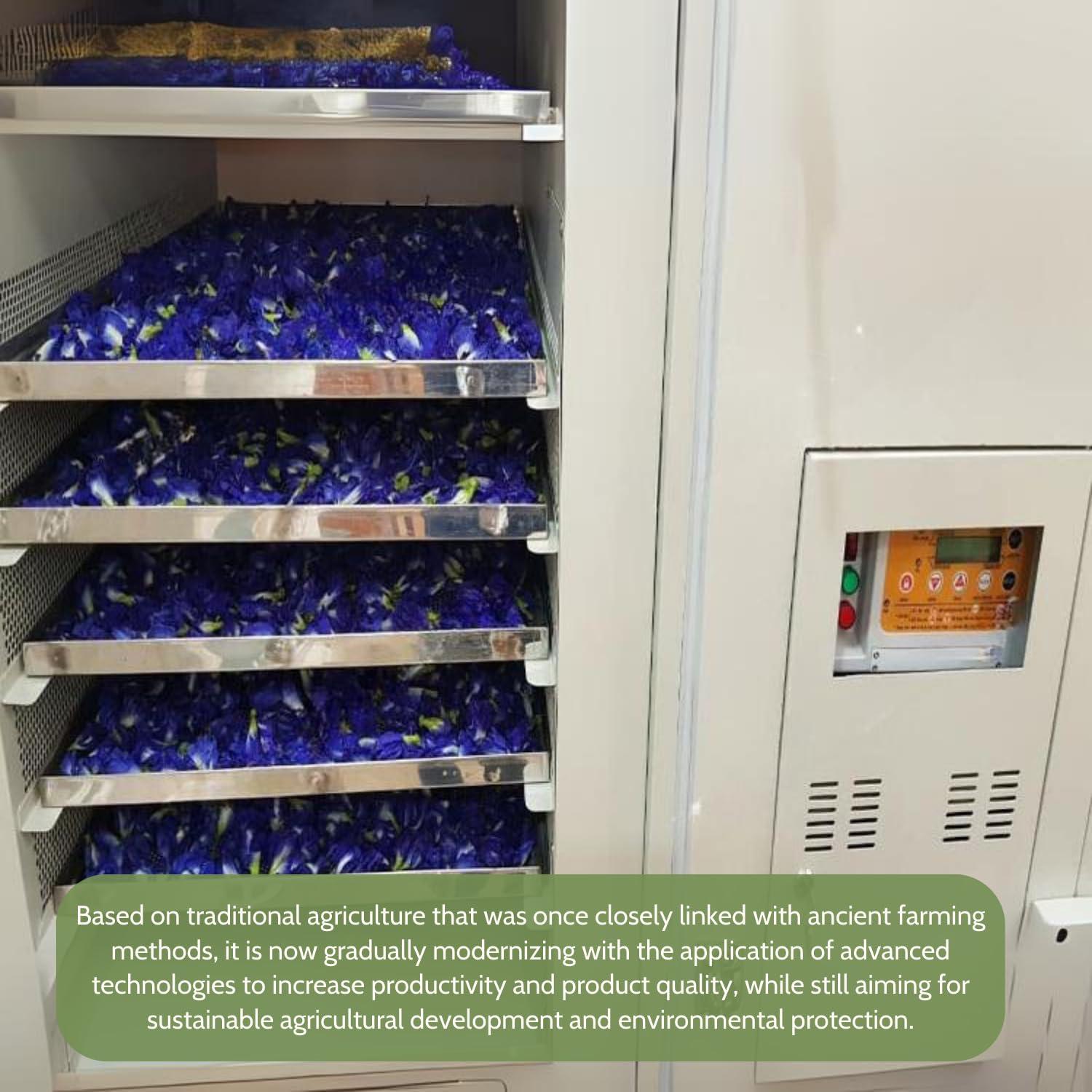 NHAT ANH FARM Nhat Anh Farm - Premium Dried Butterfly Pea Flower - 3,5oz(100g) Blue Butterfly Pea Flower - 100% Natural & Pure, Sugar/Caffeine/Gluten Free - For Making Tea