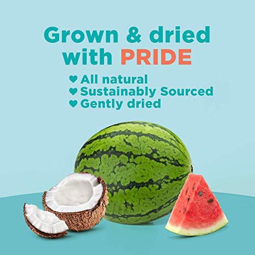 RIND Snacks RIND Snacks Coco-Melon Dried Fruit Superfood, Organic Coconut, Watermelon, High Fiber, Vegan, Paleo, Non-GMO 2.75oz, 3 Pack