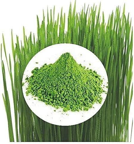 SENTA SENTA Girme\'s Wheatgrass Powder - 100g Ziplock Pouch