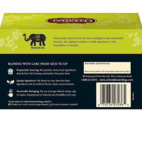 Celestial Seasonings Celestial Seasonings Green Tea, Antioxidant, 20 Count