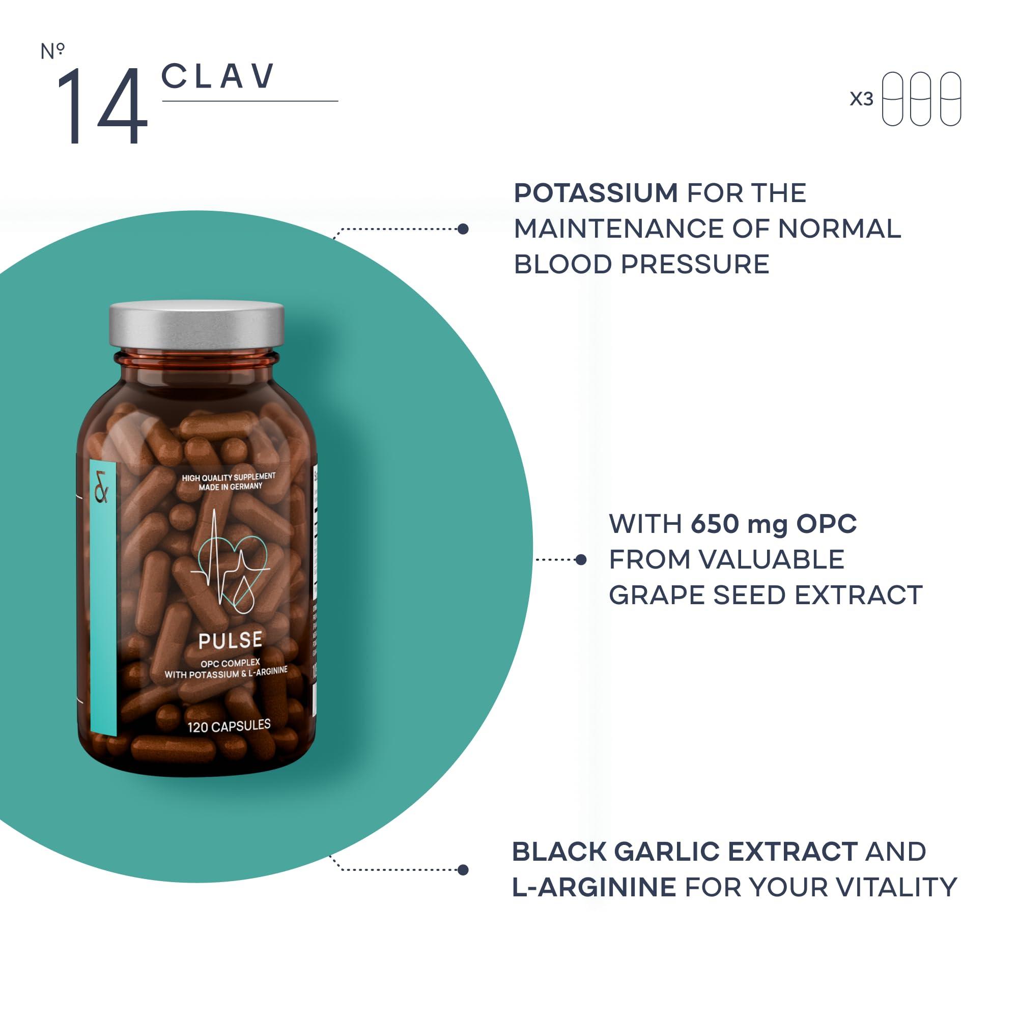 CLAV CLAV Premium Blood Pressure Support Supplement with Grape Seed Extract, L-Arginine, Black Garlic Extract & Potassium - 120 Capsules