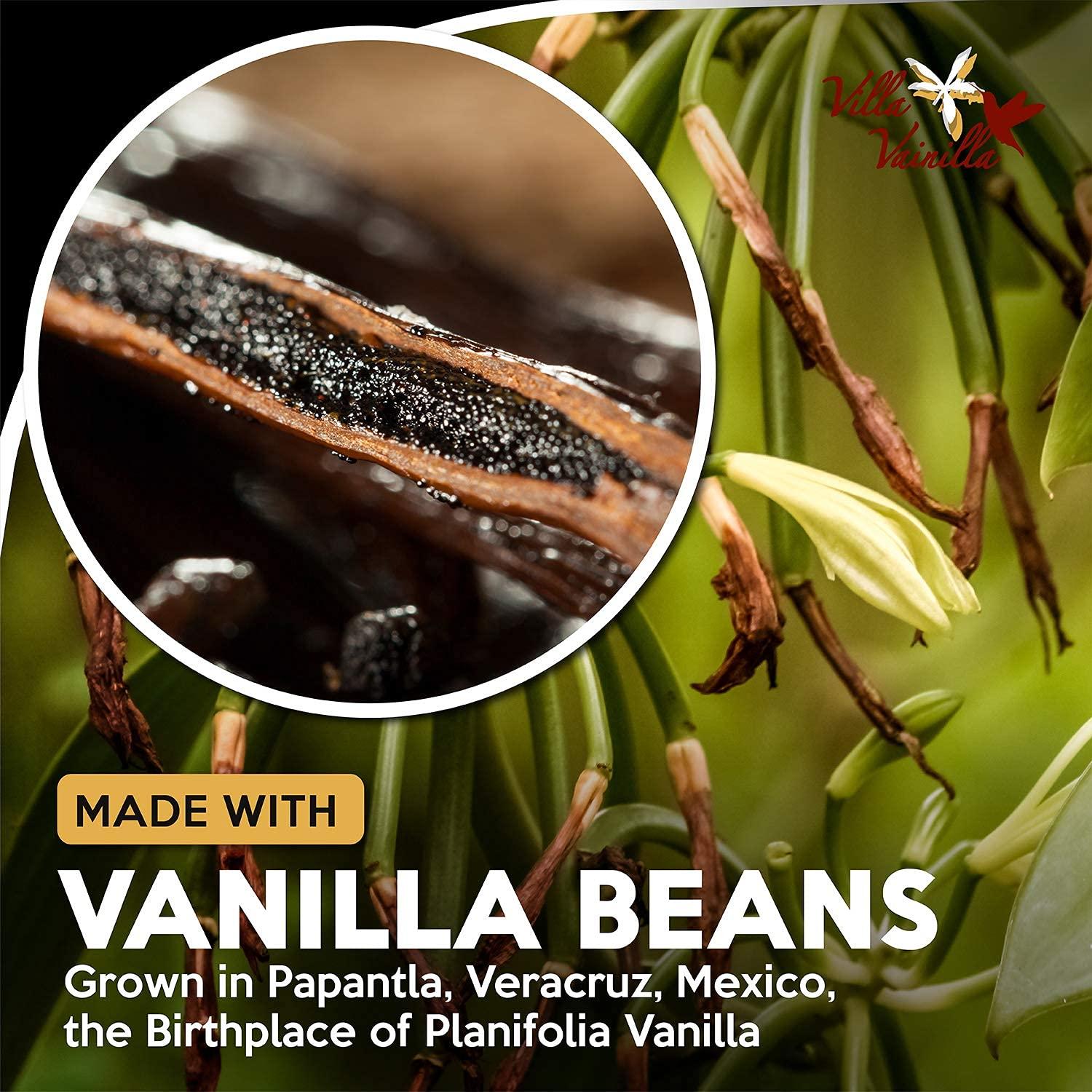 Villa Vainilla Villa Vainilla Pure Vanilla Extract - Elixir Premium Mexican Vanilla | All Natural Pure Vanilla Extract | For Chefs and Home Cooking | Perfect for Baking, Dessert Making | Vanilla Extracto | 4.2 oz