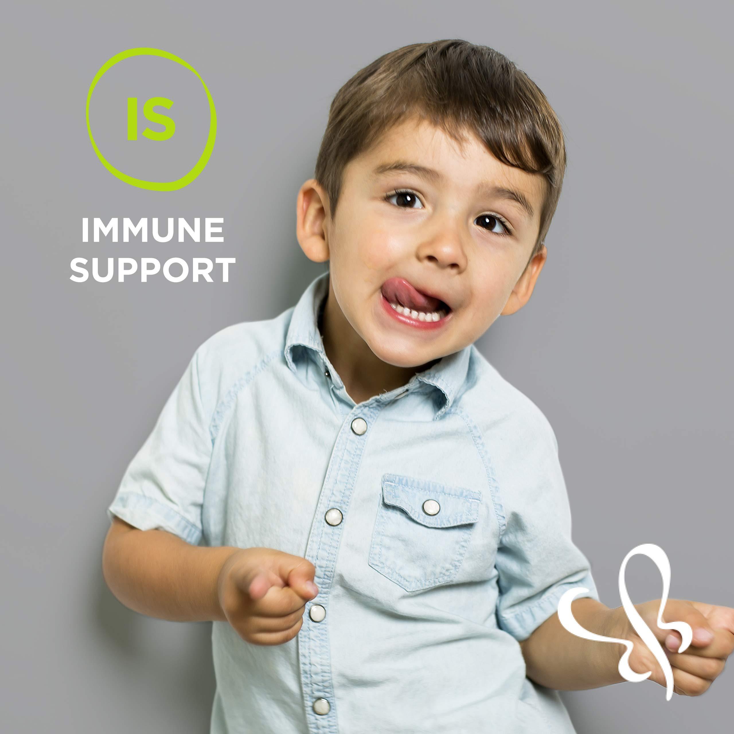 Mommy's Bliss Mommy\'s Bliss Kids Elderberry Gummies, Supports Immunity with Black Elderberry, Zinc & Vitamin C, Gluten Free & Vegan, Age 2 Years+ (60 Count)