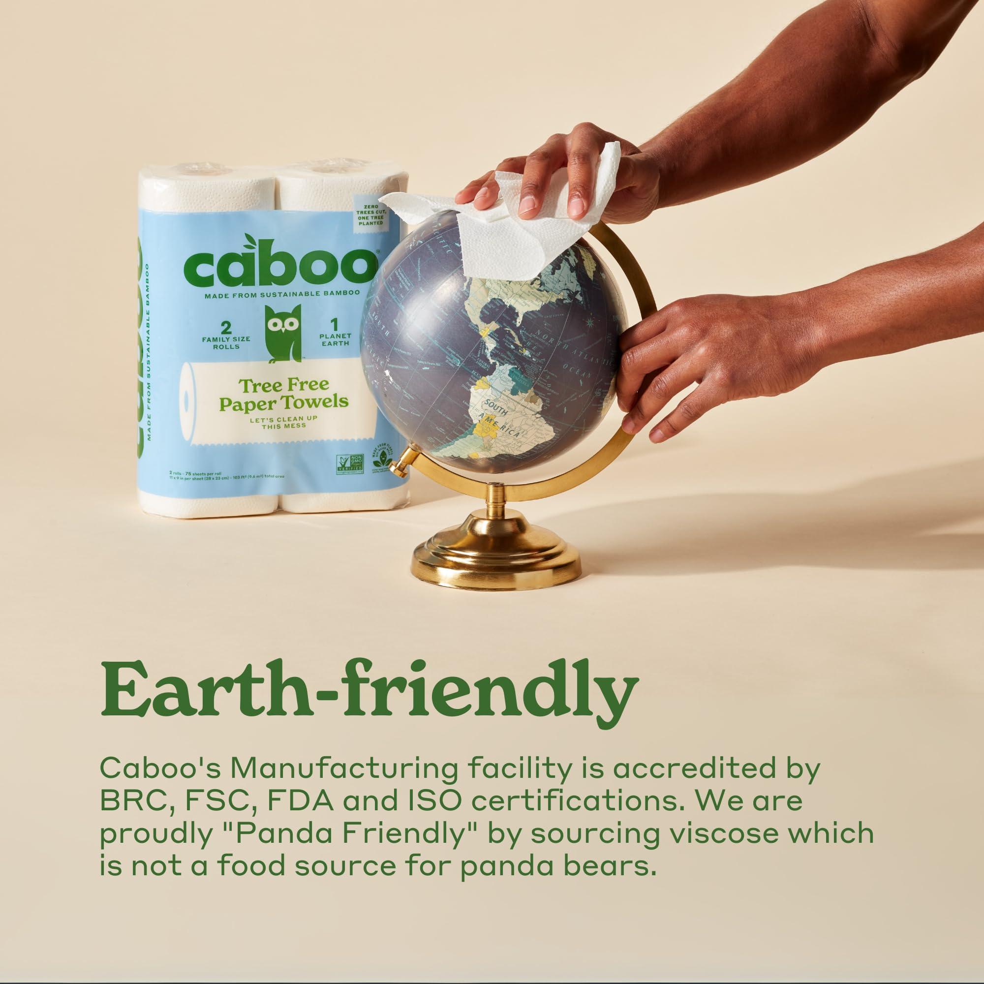 Caboo Caboo Tree Free Bamboo Paper Towels, 8 Rolls, Earth Friendly Sustainable Kitchen Paper Towels with Strong 2 Ply