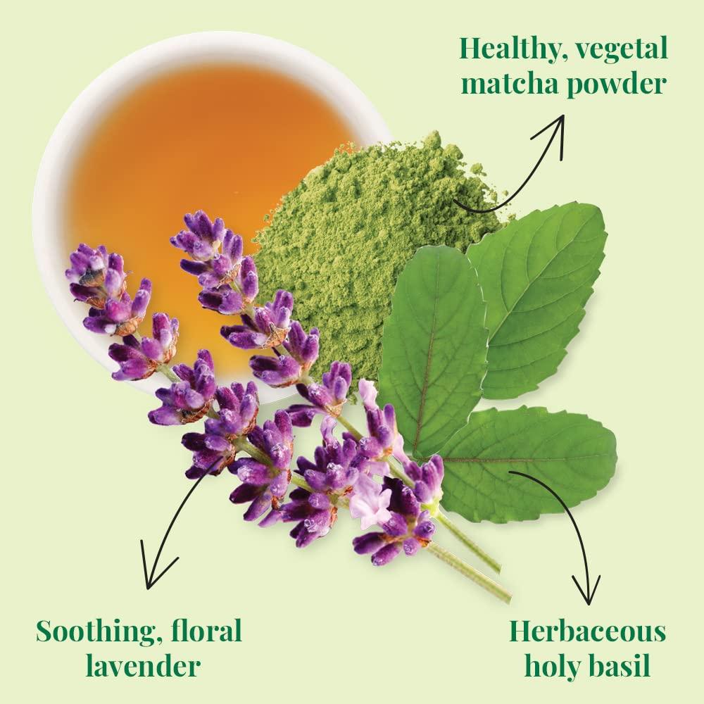 The Republic of Tea Republic Of Tea, Tea Supergreen Serenity Organic, 36 Count