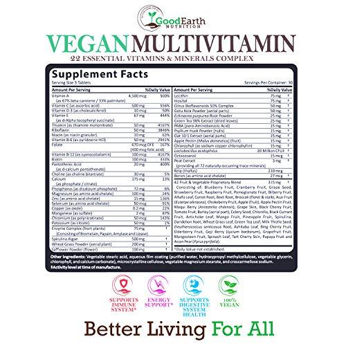 GoodEarth Nutrition Vegan Multivitamins for Men & Women - Vitamins A , B Complex , C , D3 , Zinc , Magnesium , Spirulina , Antioxidants - Daily Multivitamin Mineral Supplement with Proprietary Fruit & Vegetable Blend