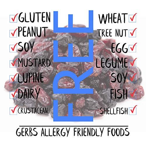 GERBS GERBS Blueberry & Cranberry Dried Fruit Snack Mix 2 LBS. Premium Grade | Top 14 Food Allergy Free | Resealable Bulk Bag | Made in USA | Packed with Antioxidants | Gluten Peanut Tree Nut Free