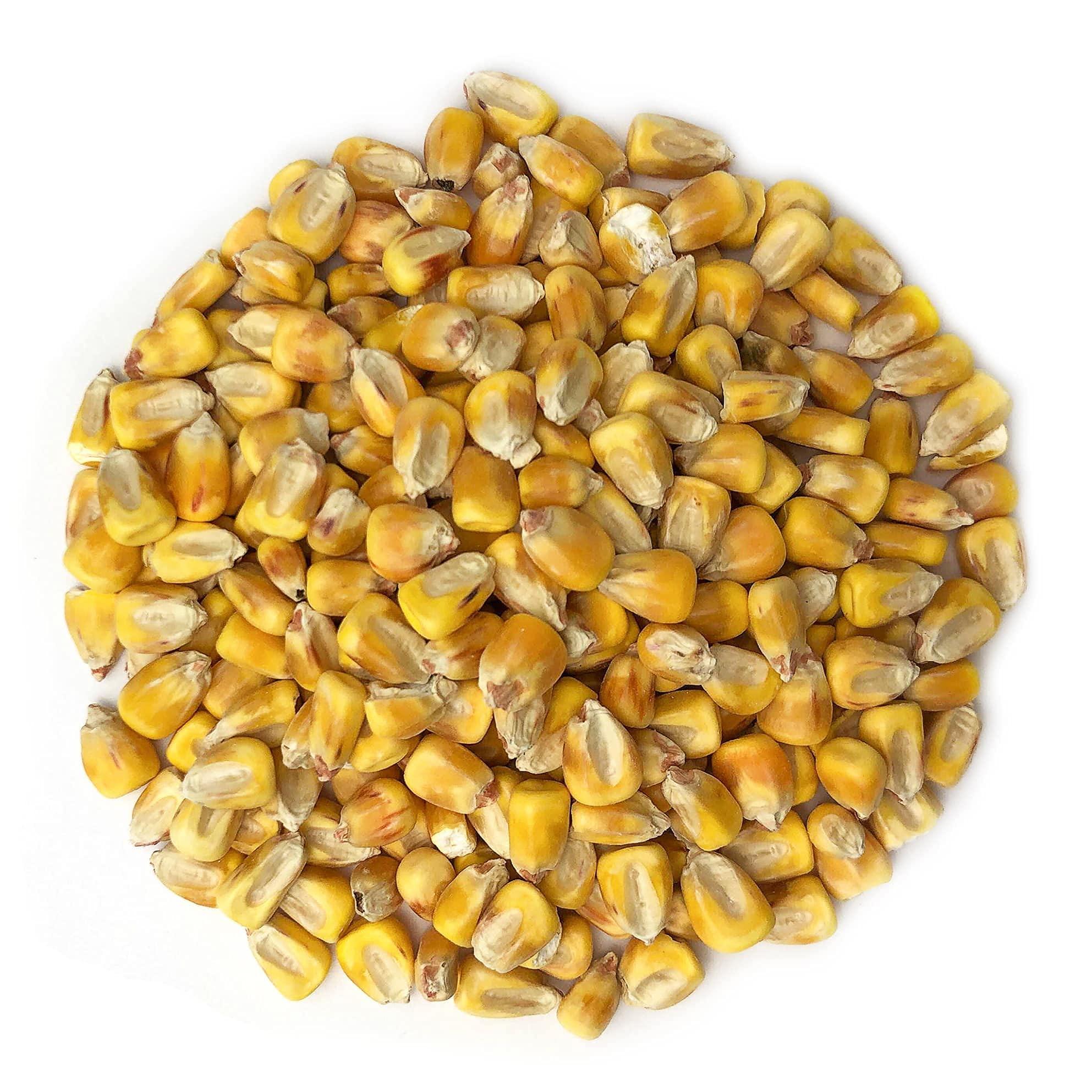 Food to Live Food to Live Organic Yellow Whole Corn, 1.5 Pounds - Non-GMO Maize, Cleaned and Dried Kernels, Vegan, Kosher, Bulk Cereal Grain, Good Source of B vitamins, Thiamin, and Folate