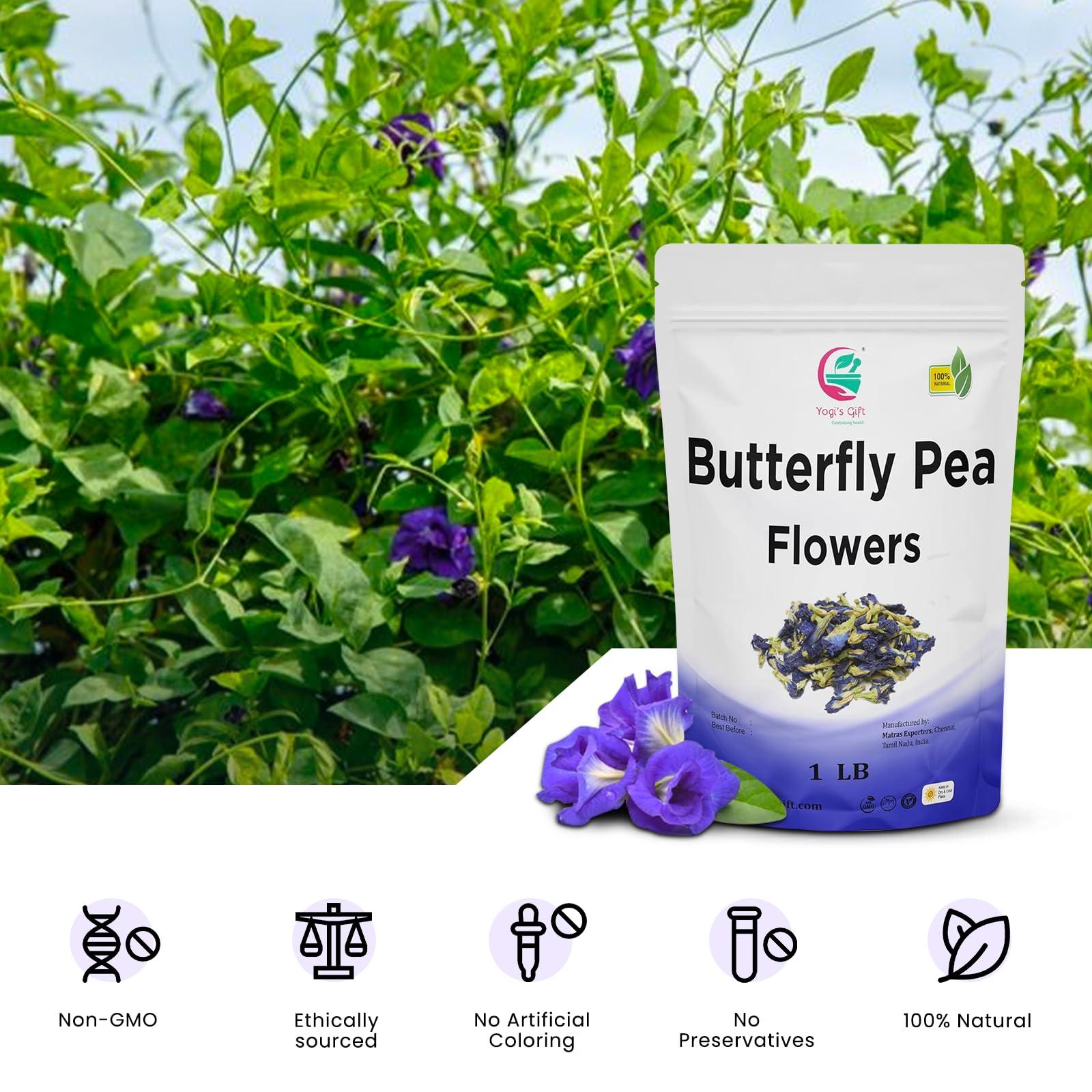 YOGIS GIFT  Celebrating health Butterfly Pea Flower Dried 1 LB | Blue Butterfly Pea Flower Tea | Makes Beautiful Blue Or Purple Food Coloring | Non-Gmo, Ethically Sourced | By Yogi\'s Gift