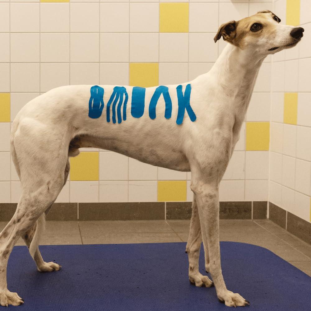 VETKIN VetkinTape Veterinary Kinesiology Tape Blue | kinesiology Tape For Horses & Dogs | Equine & Canine Kinesiotape | Latex Free and TV Quality Mark Certified Ktape | 4 inch | Pack of 1 Roll