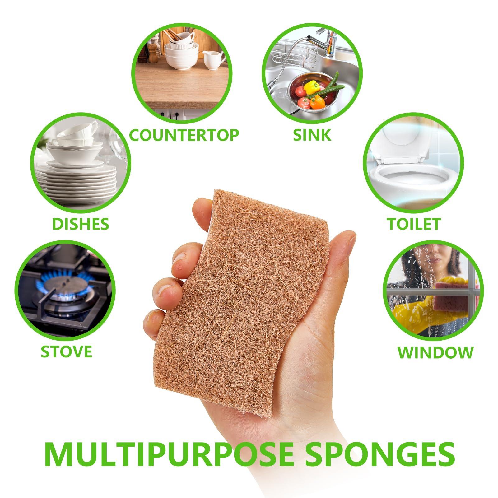 HileSwan 2 Pack Dish Brush with Handle, Dish Cleaning Brushes with Built-in Scraper, and 12 Pack Kitchen Sponges, Natural Dish Scrub Sponge, Non-Scratch Scrubber,