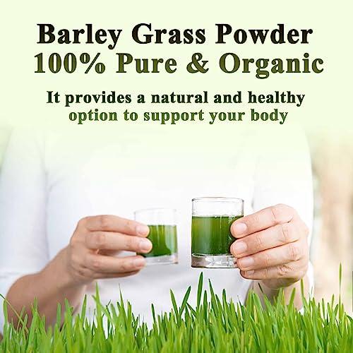 MONKPEAR MONKPEAR Naveta Barley Grass Powder 100% Pure & Organic, 1Box/20Bags Organic Barley Grass Powder, Naveta Pure Organic Barley, Easy to Use Easy to Carry (3Box)
