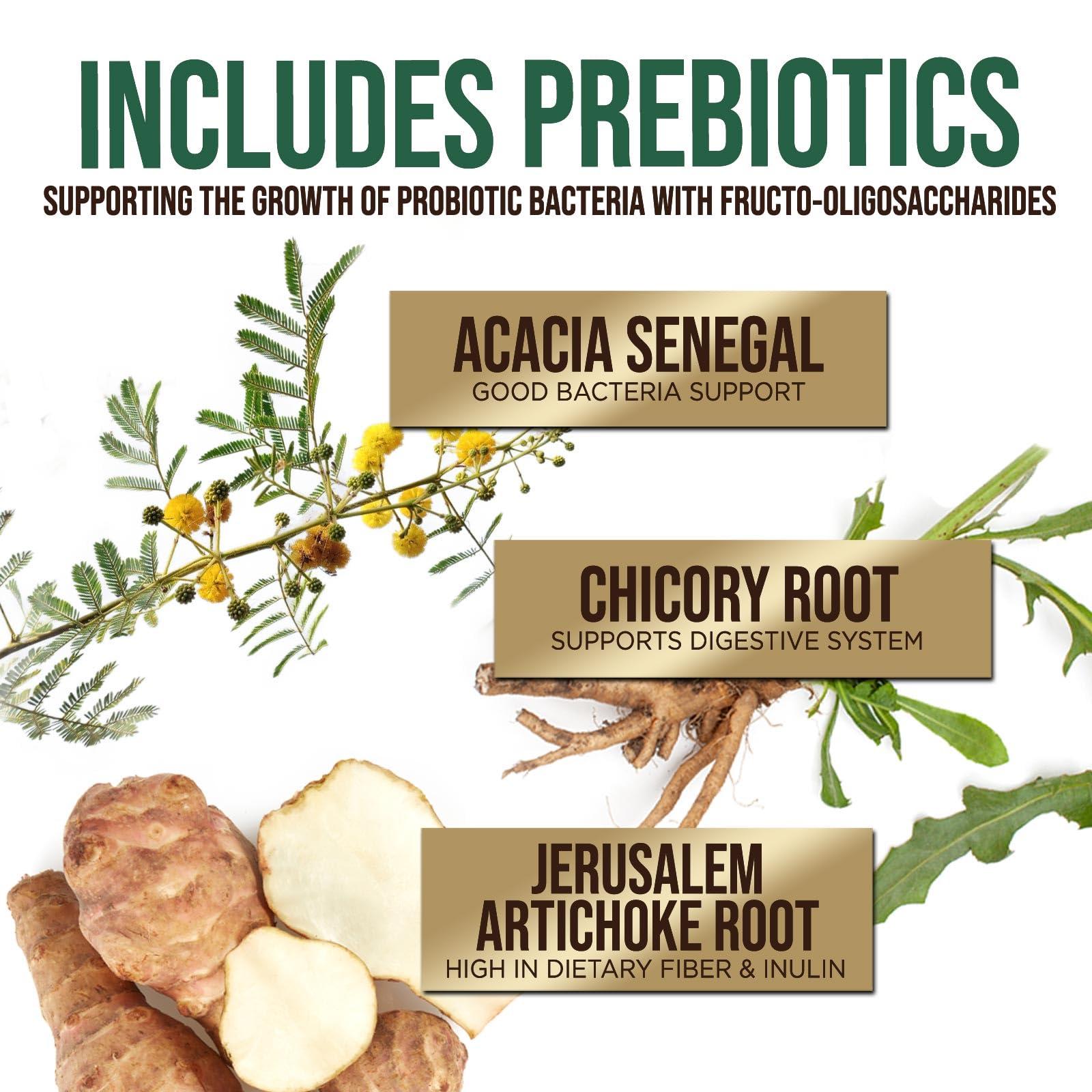 Health Nutrition Naturals Daily Probiotic and Acidophilus Prebiotics Supplement 60 Billion CFU Capsule for Women & Men - 10 Strains Plus Digestive Enzymes - for Bloating Gas & Gut & Immune Health Support - 120 Capsules