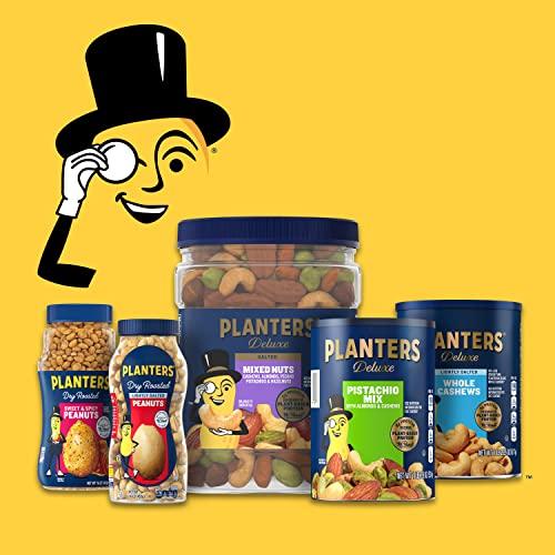 Planters PLANTERS Salted Cashew Halves & Pieces, Party Snacks, Plant-Based Protein 8oz (1 Canister) (Pack of 3)