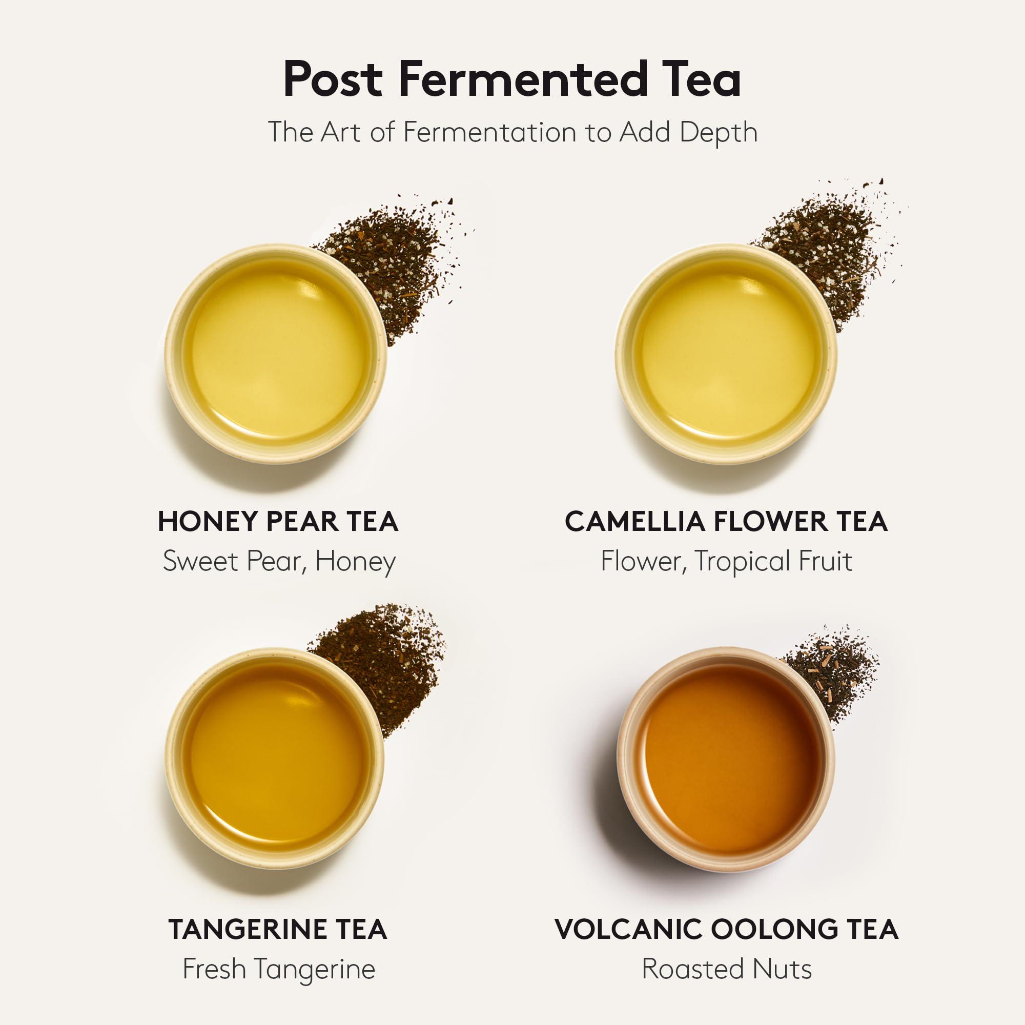 Osulloc OSULLOC Premium Tea Collection (40 Count, 10 flavors x 4ea) & Honey Pear Tea (20 count)