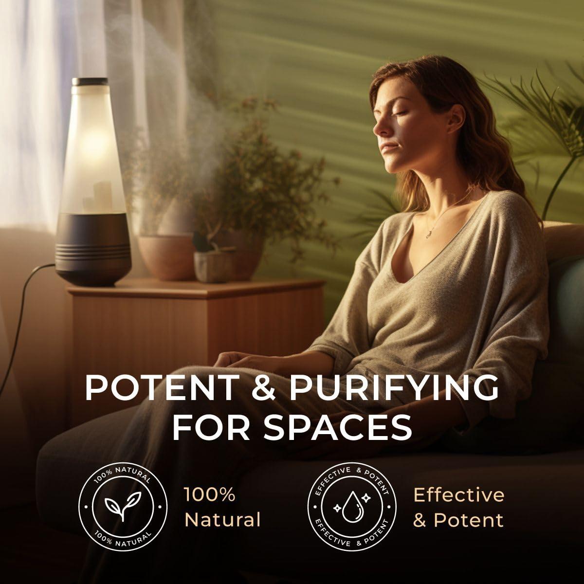 DEVA DEVA Vegan Probiotic with FOS Prebiotics Supplement - 2 Billion CFU with 100 MG of Prebiotics Per Serving for Men & Women - Non-Dairy Gluten Free - Naturally Shelf Stable - 90 Capsules (Pack of 2)