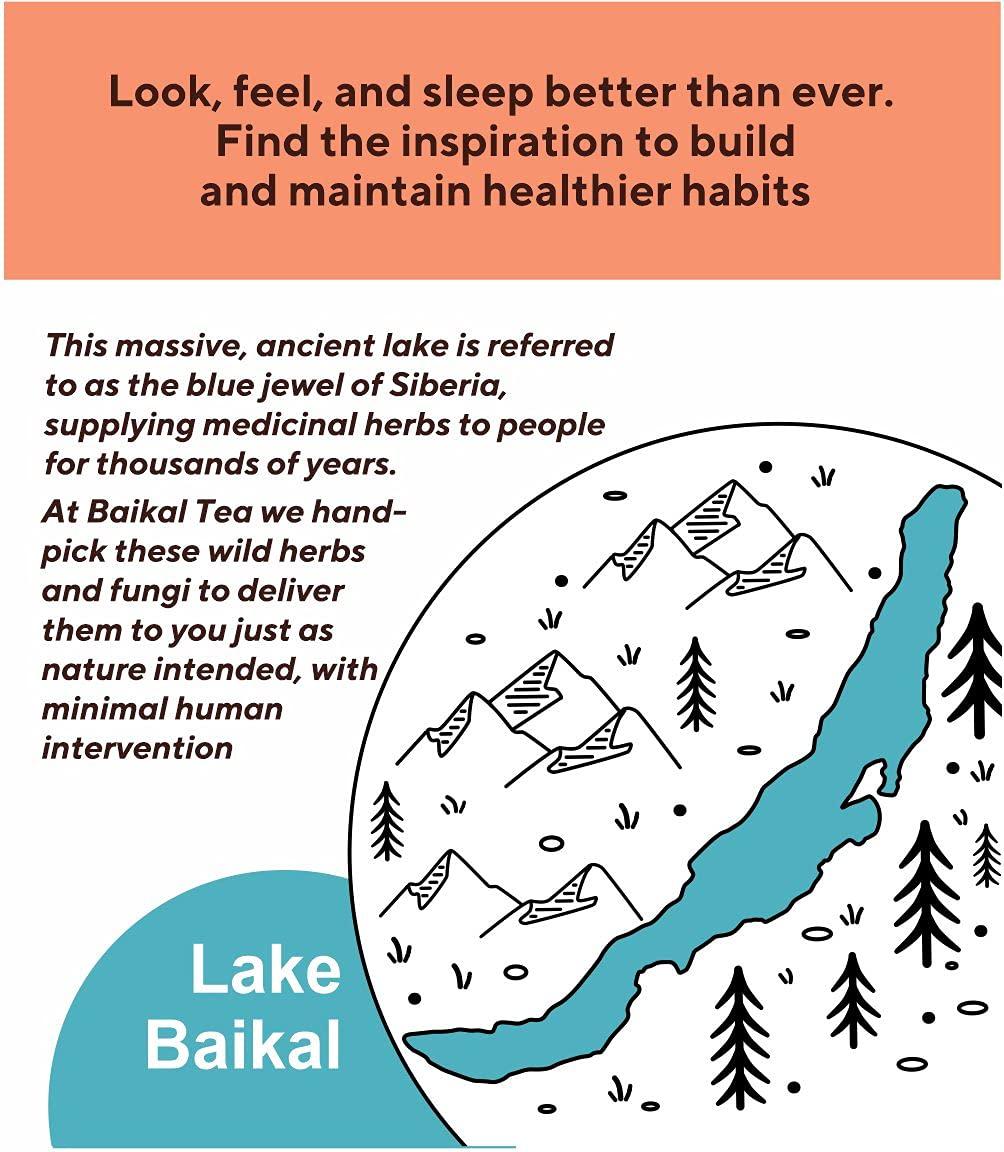 Baikal Tea Baikal Tea Chaga Reishi Tea Wild Chaga Tea with Reishi - 30 Unbleached Tea Bags - Ganoderma Lingzhi Mushroom Supplement Tea with Wild Chaga