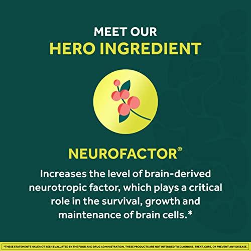 NEURIVA NEURIVA Brain + Energy Gummies, Nootropic Brain Supplements for Focus and Concentration with Neurofactor, Vitamin B12 & Caffeine for an Energy Boost*, 75ct Natural BlackBerry