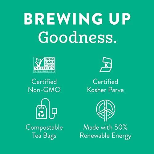 Stash Stash Tea Decaf Premium Green Tea, Box of 100 Tea Bags (Packaging May Vary)