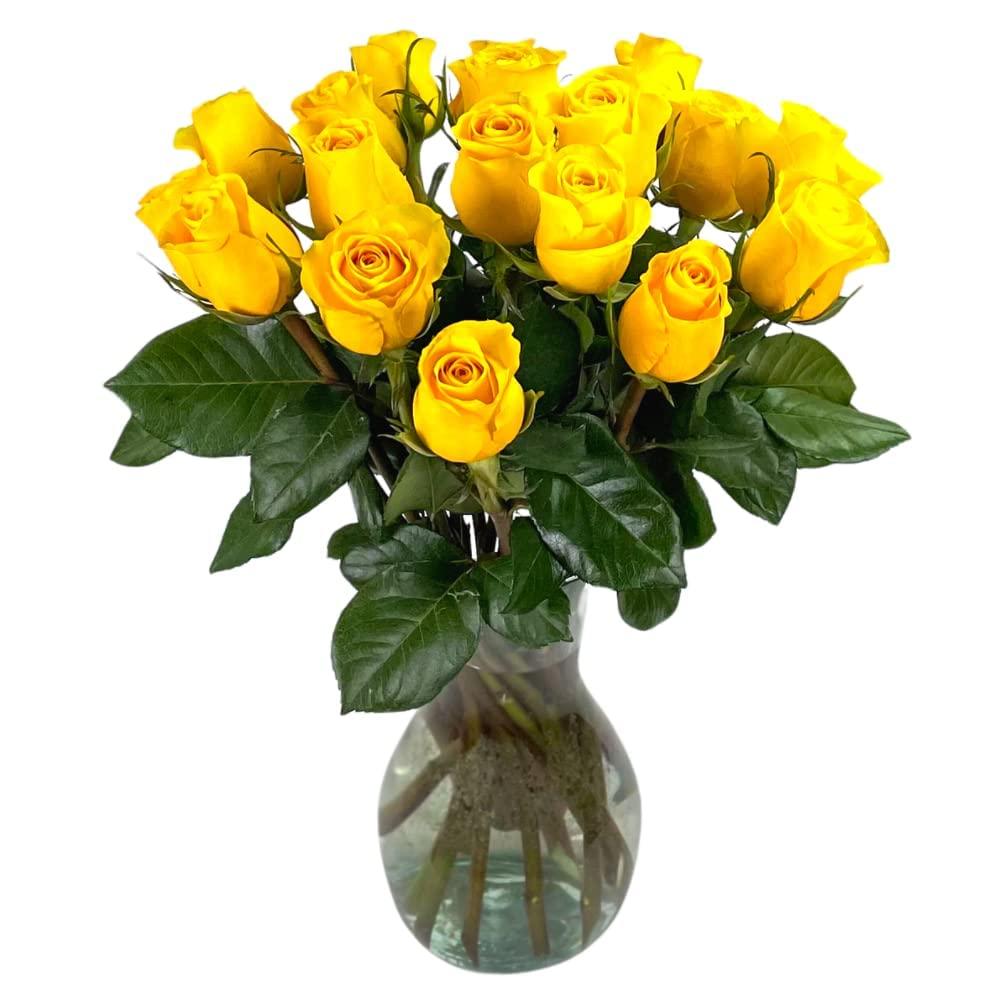 Lekithos Lekithos Organic Walnut Protein Powder - 8oz - Single Ingredient - Non-GMO Project Verified