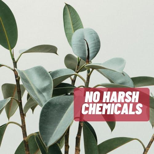 Acnetame Acnetame Acne Pills- Acne Tame Supplement- Clear Skin Vitamins Pill for Oily Skin Treatment, Hormonal Blemishes, Anti Spots & Cystic Acnes Supplements for Women, Men, Teens & Adults- 60 Oral Tablets