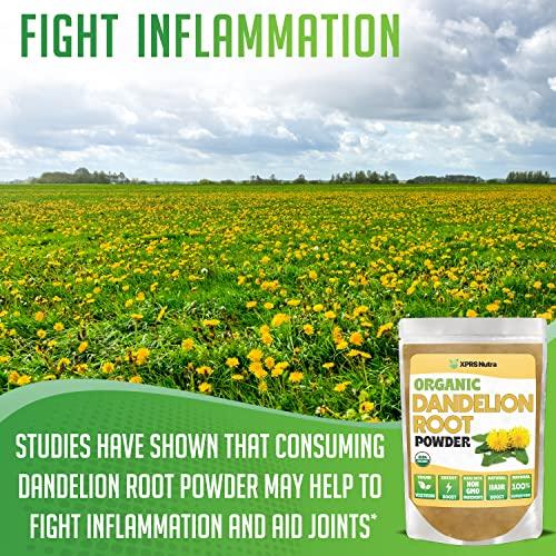 XPRS Nutra XPRS Nutra Organic Dandelion Root Powder - Vegan Friendly Antioxidant Power for Liver Support - Dandelion Root for Tea and Beverages - Immune Boosting Dandelion Powder (16 Ounce)