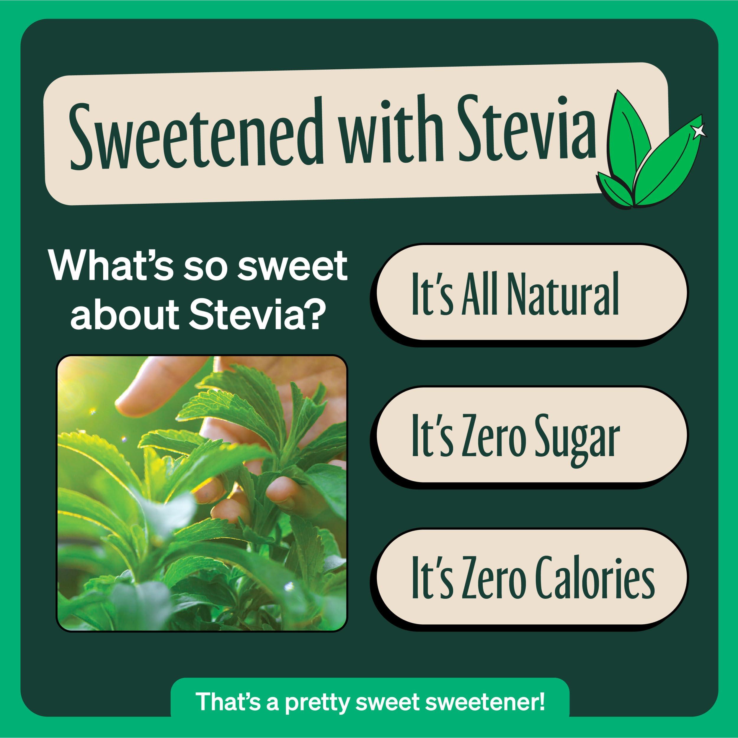 Zevia Zevia Zero Sugar Tea, Black Tea with Raspberry, 12 oz Cans (12-Pack) Naturally Sweetened, Non-GMO Project Verified, Gluten-Free, Vegan