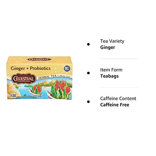 Celestial Seasonings Celestial Seasonings Ginger & Probiotics Herbal Tea, 20 CT