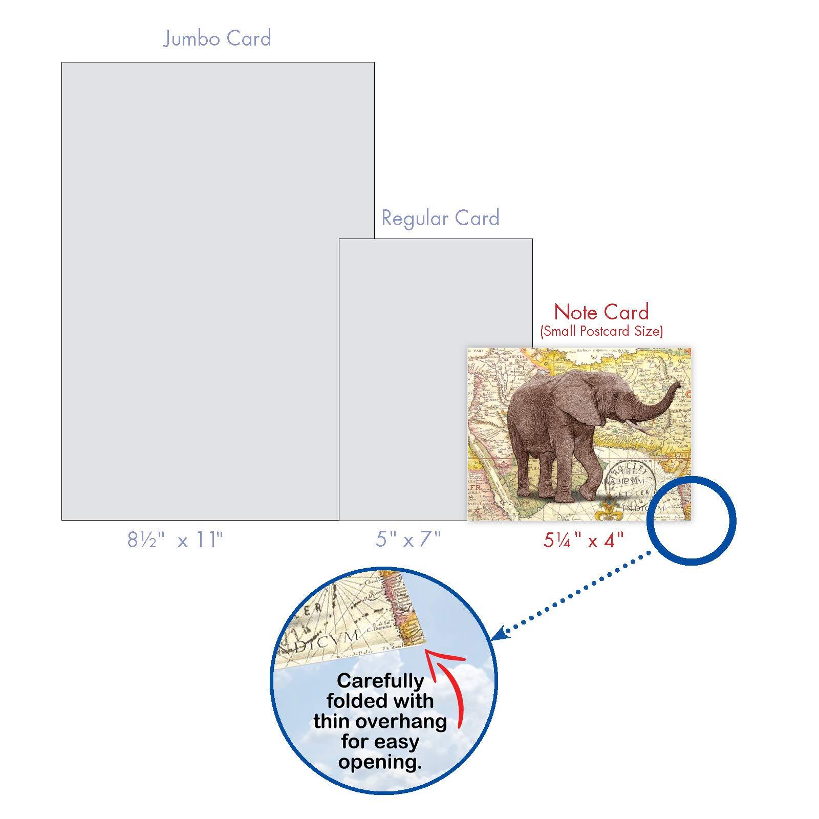Homebrewers Outpost Gauge - Low Pressure (0-30 psi) (Pack of 10)