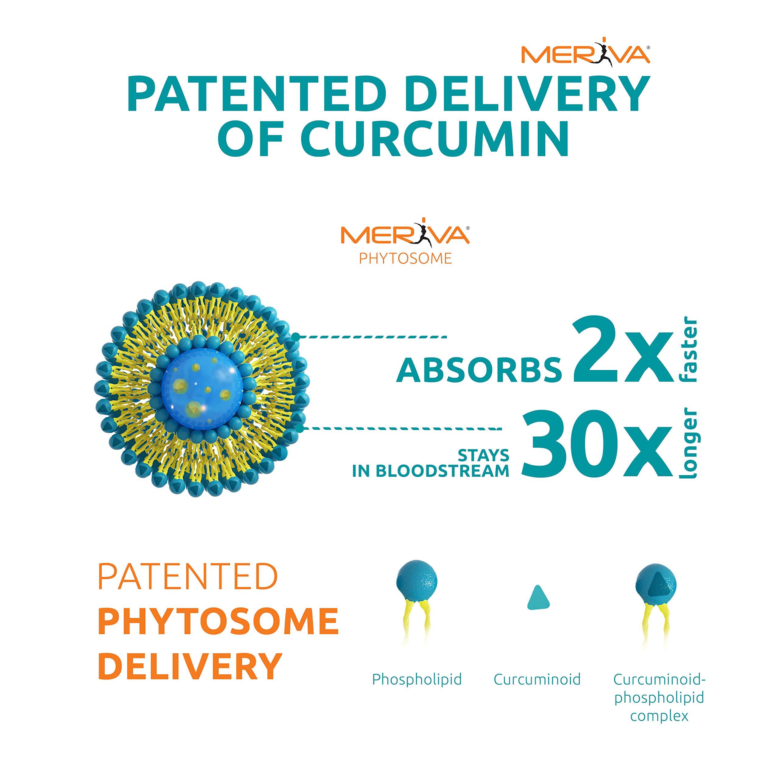 Source Naturals Source Naturals Turmeric with Meriva, for Healthy Inflammation Response*, 500mg - 120 Tablets