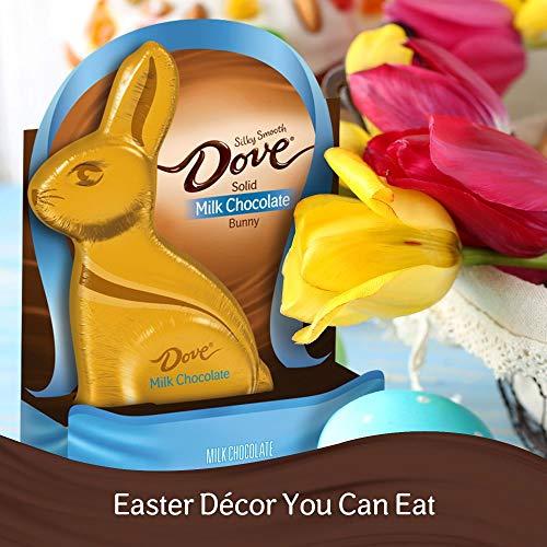 Dove DOVE Easter Bunny Milk Chocolate Candy Gift, 4.5 oz