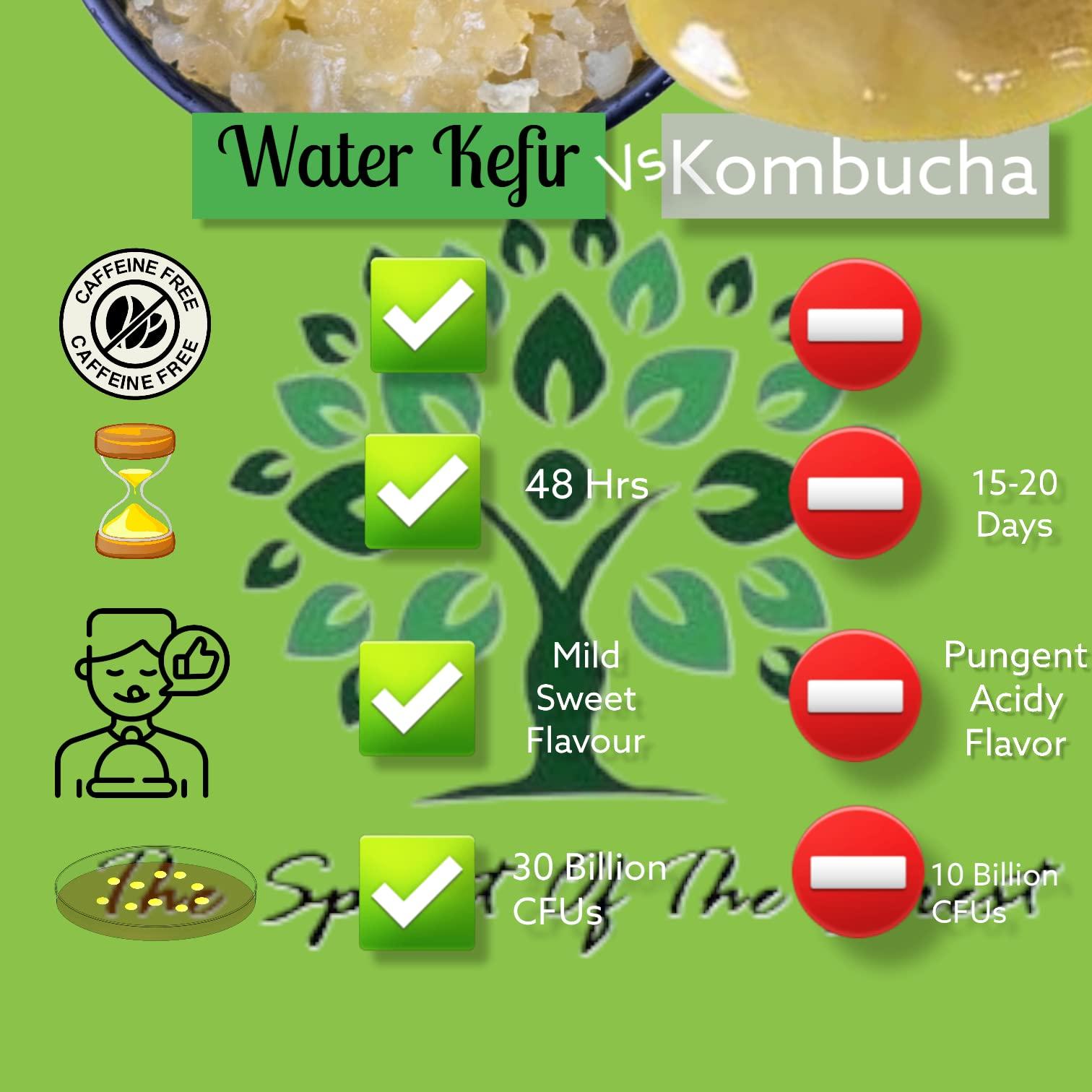 The Spirit Of The Forest Water Live Kefir Grains W/Activator Booster The Spirit Of The Forest Starter Cultures Keifer Water Plain Bulgaros de Agua Vivos Coconut Water No GMO Caffeine-FREE Keto Friendly