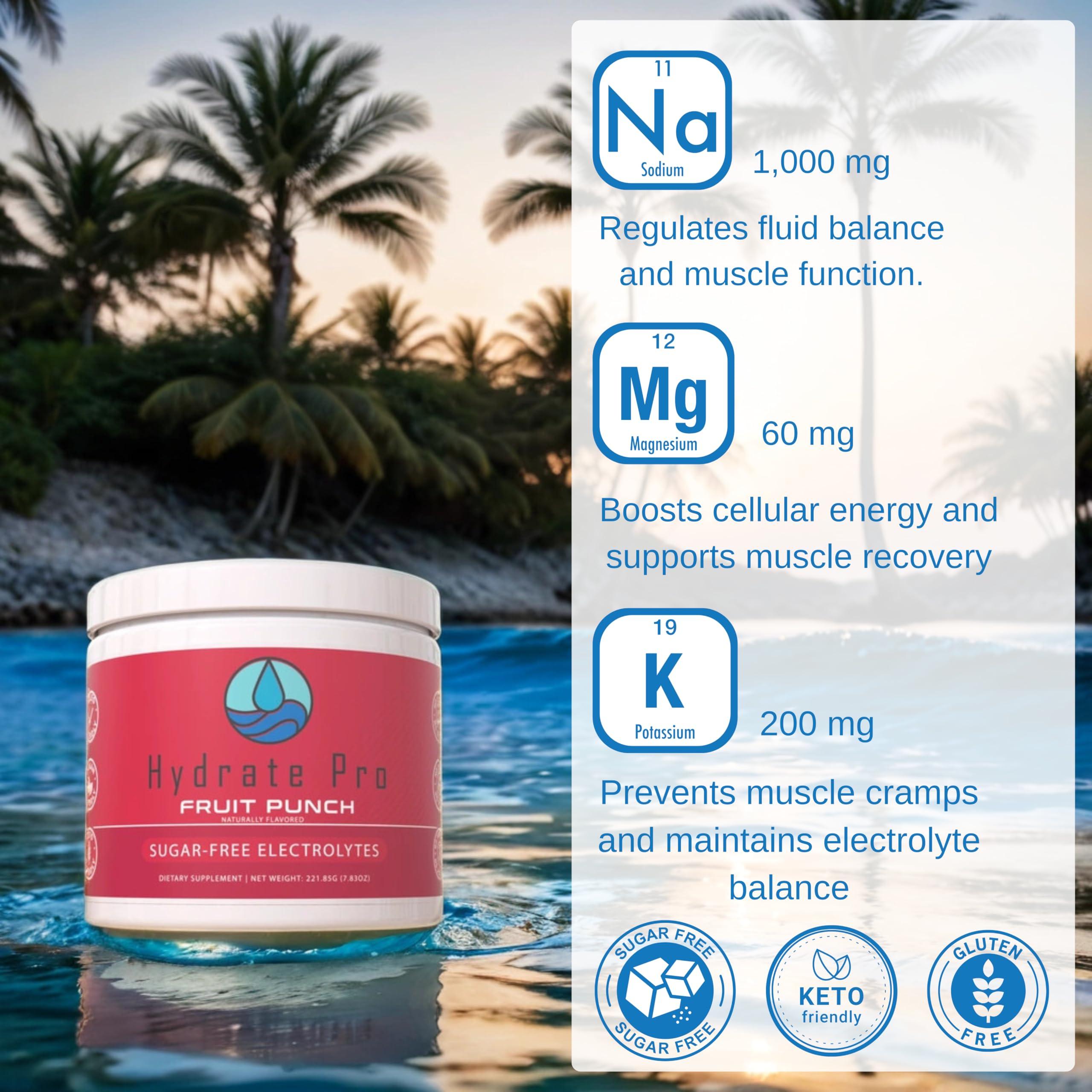 Hydrate Pro Hydrate Pro Sugar-Free Electrolyte Powder | 1000mg High-Sodium Electrolyte Complex | POTS Support & Keto Flu Prevention | 45 Servings Natural Hydration (Fruit Punch)