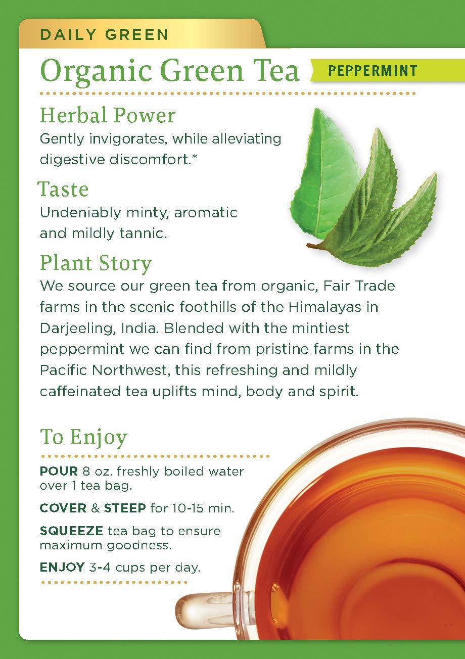 Traditional Medicinals Traditional Medicinals Organic Green Tea Peppermint Tea, 16 Tea Bags