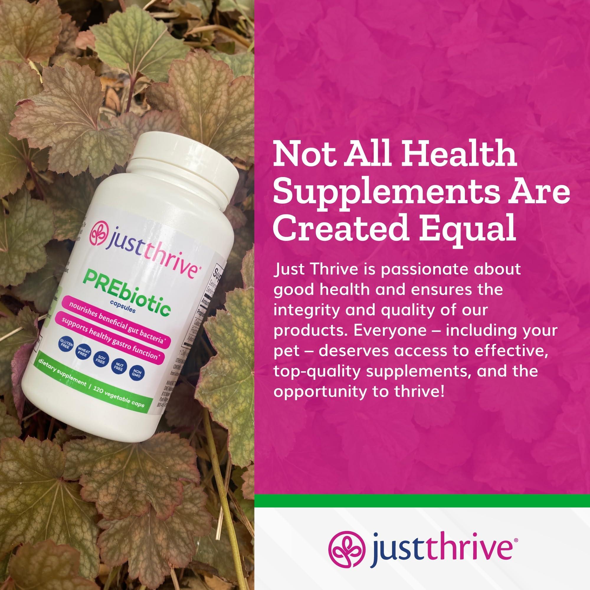 Just Thrive Just Thrive PREbiotic Capsules - Prebiotic Blend for Gut Health and Immune Support, 120 Caps