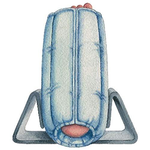 Skil-Care Skil-Care Bilateral Anti-Rotation Gripper, Small/Medium, Comfortable Foam with Slip-Resistant Design, Prevents Foot Rotation, 503039